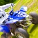 S�jour linguistique sport