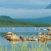 Nos voyages linguistiques en Irlande pour enfants et ados